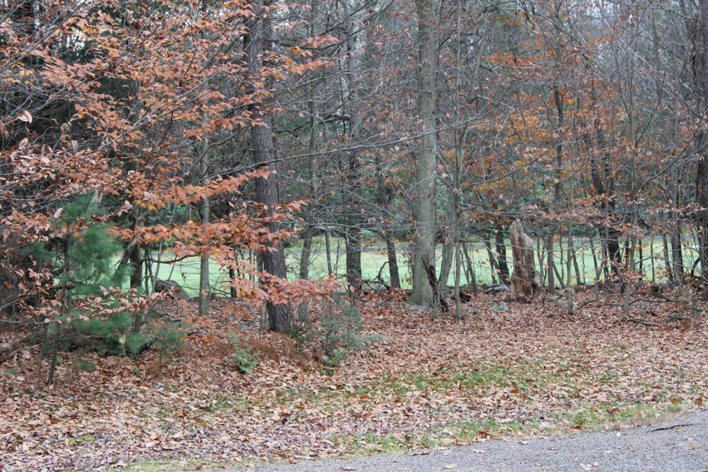 Luxury 4 Bedroom House In Pocono Mountains In Golf Course Near Lake Tobyhanna Exterior photo